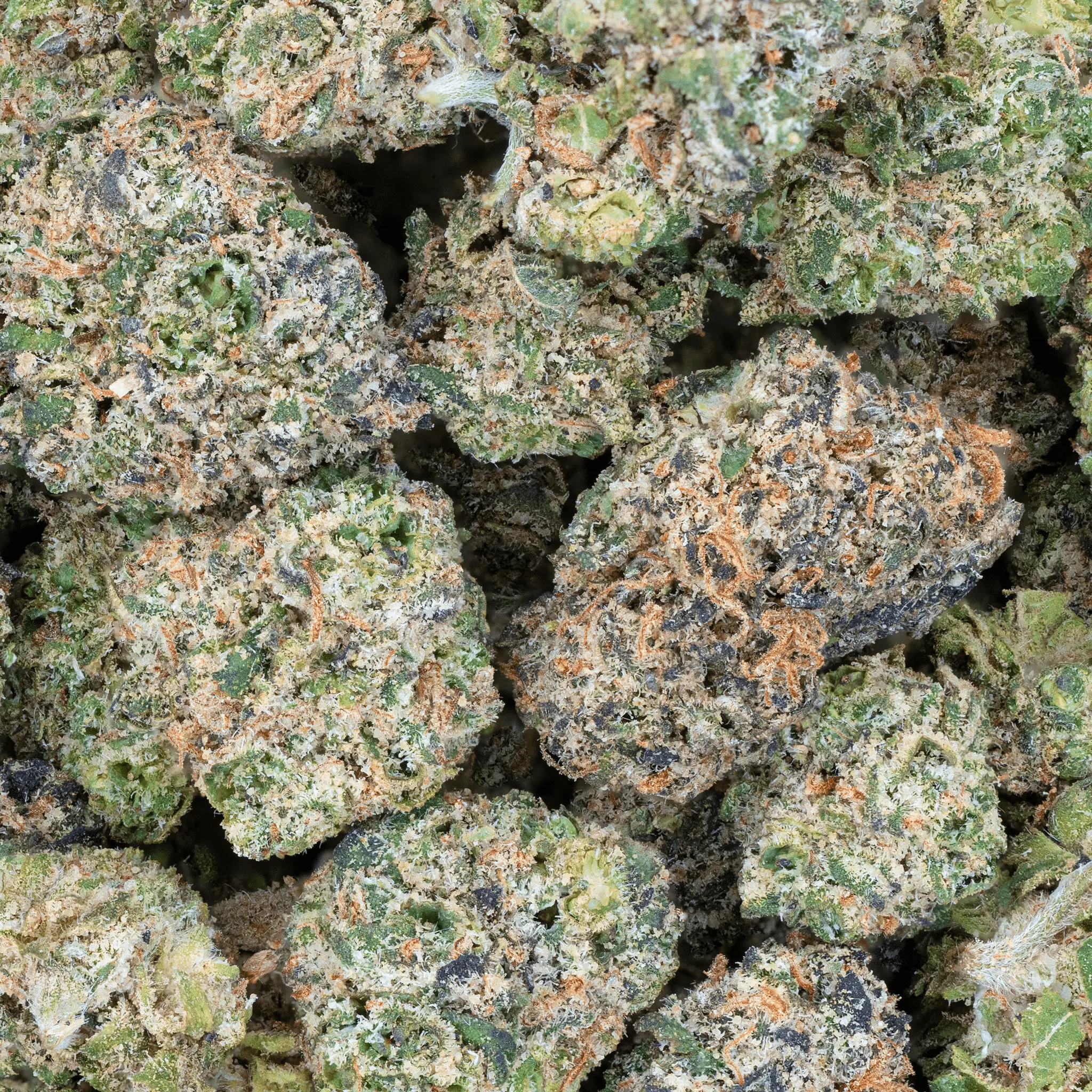 THCa Smalls - Image 12
